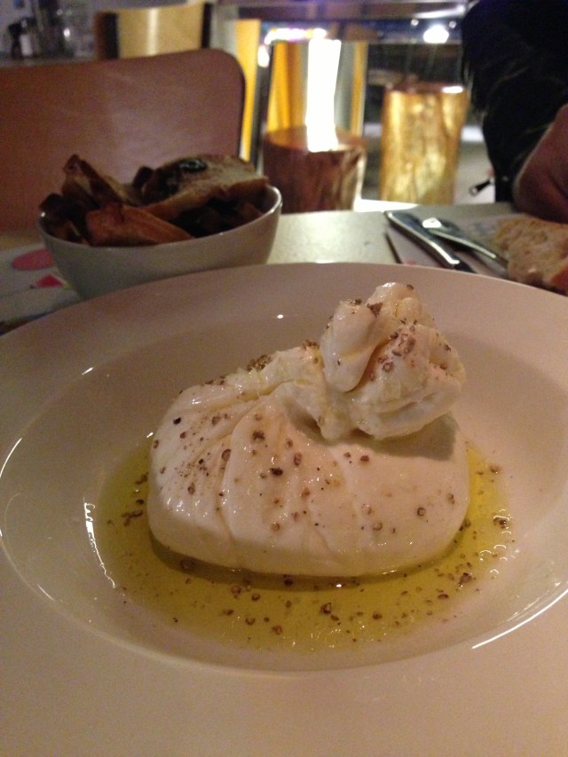 Burrata MS